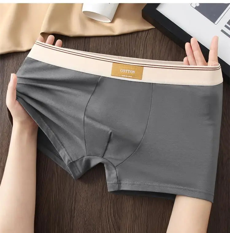 We.Fine Men's Boxer Comfortable Underpants 2024 New Men's Briefs Fashion Underwear Cotton Breathable Luxury Underwear Panties